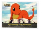 Charmander-the Stray Pokemon