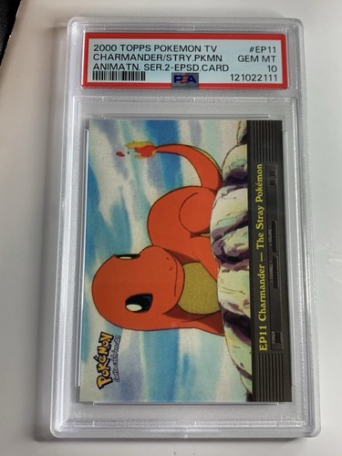 Charmander-the Stray Pokemon