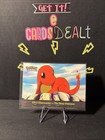 Charmander-the Stray Pokemon