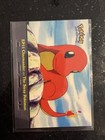 Charmander-the Stray Pokemon
