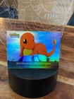 Charmander-the Stray Pokemon