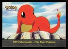 Charmander-the Stray Pokemon