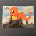 Charmander-the Stray Pokemon