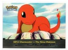 Charmander-the Stray Pokemon