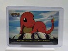 Charmander-the Stray Pokemon