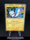 Pidove