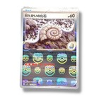Old Helix Fossil
