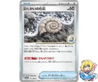 Old Helix Fossil