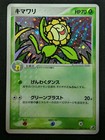 Light Sunflora