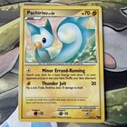 Pachirisu