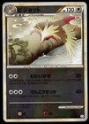 Pidgeot