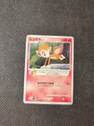 Chimchar 