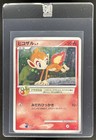 Chimchar 