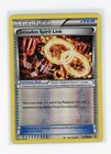Groudon Spirit Link