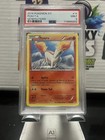 Ponyta