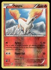 Ponyta