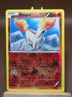 Ponyta