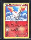 Ponyta