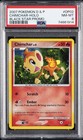 Chimchar