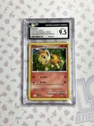 Chimchar