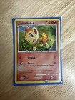 Chimchar