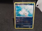 Seel
