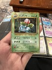 Ivysaur