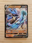 Lucario V