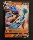 Lucario V
