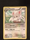 Cinccino