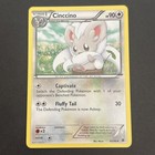 Cinccino