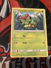 Caterpie