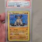 Terrakion