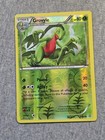 Grovyle