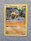 Hippopotas