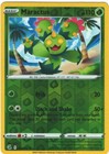 Maractus