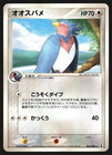 Swellow