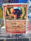 Torkoal
