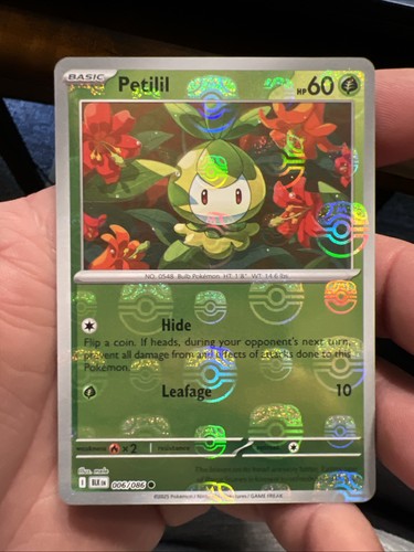 Petilil