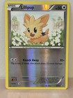 Lillipup