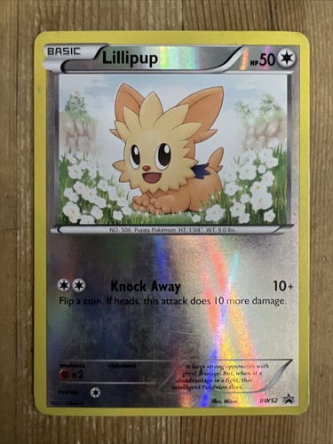 Lillipup