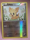 Lillipup