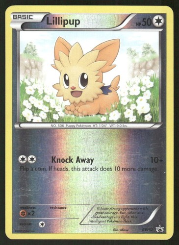 Lillipup