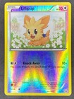 Lillipup
