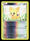 Lillipup