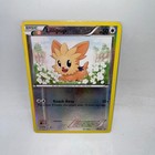 Lillipup