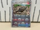 Antique Plume Fossil