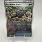 Antique Plume Fossil