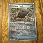 Antique Plume Fossil