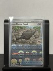 Antique Plume Fossil